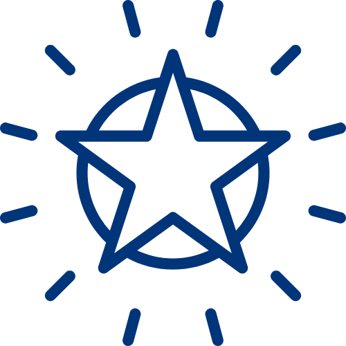 Launch to Excellence Icon