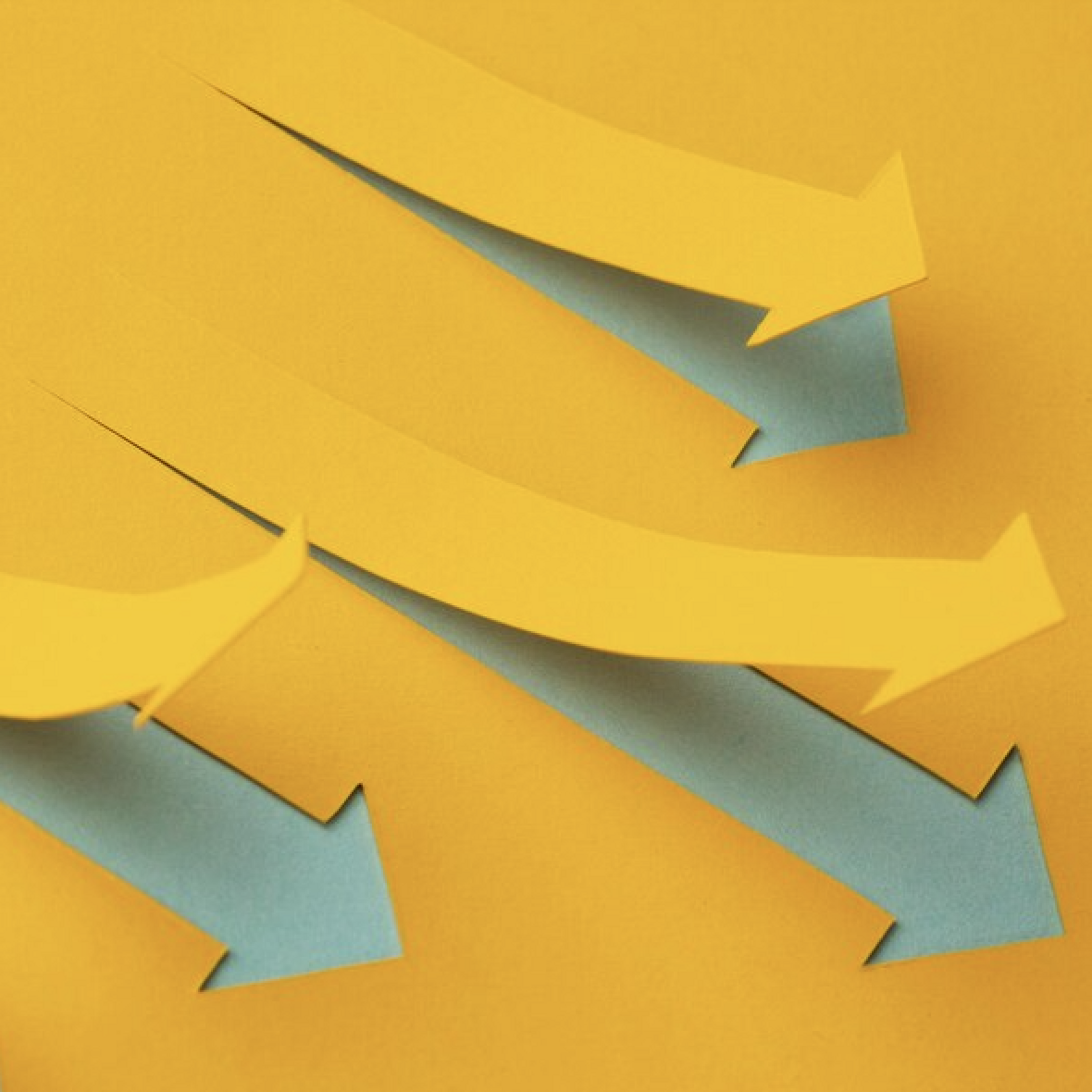 How challenging preconceived notions can open new windows of opportunity 