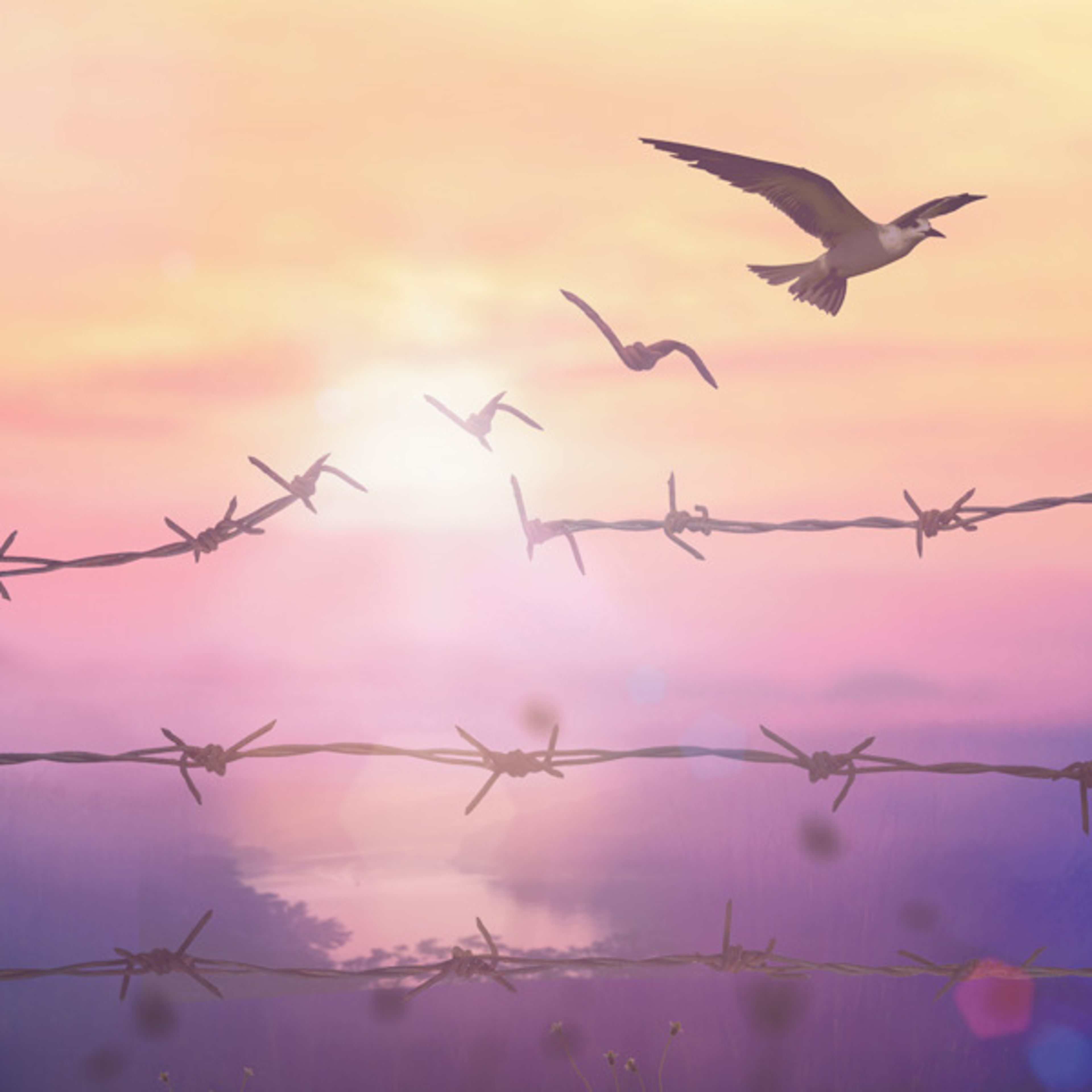 Why I stopped scaring my clients into buying