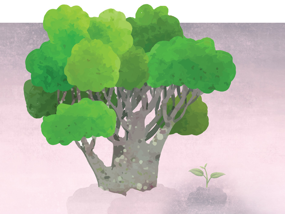 Philanthropy through insurance