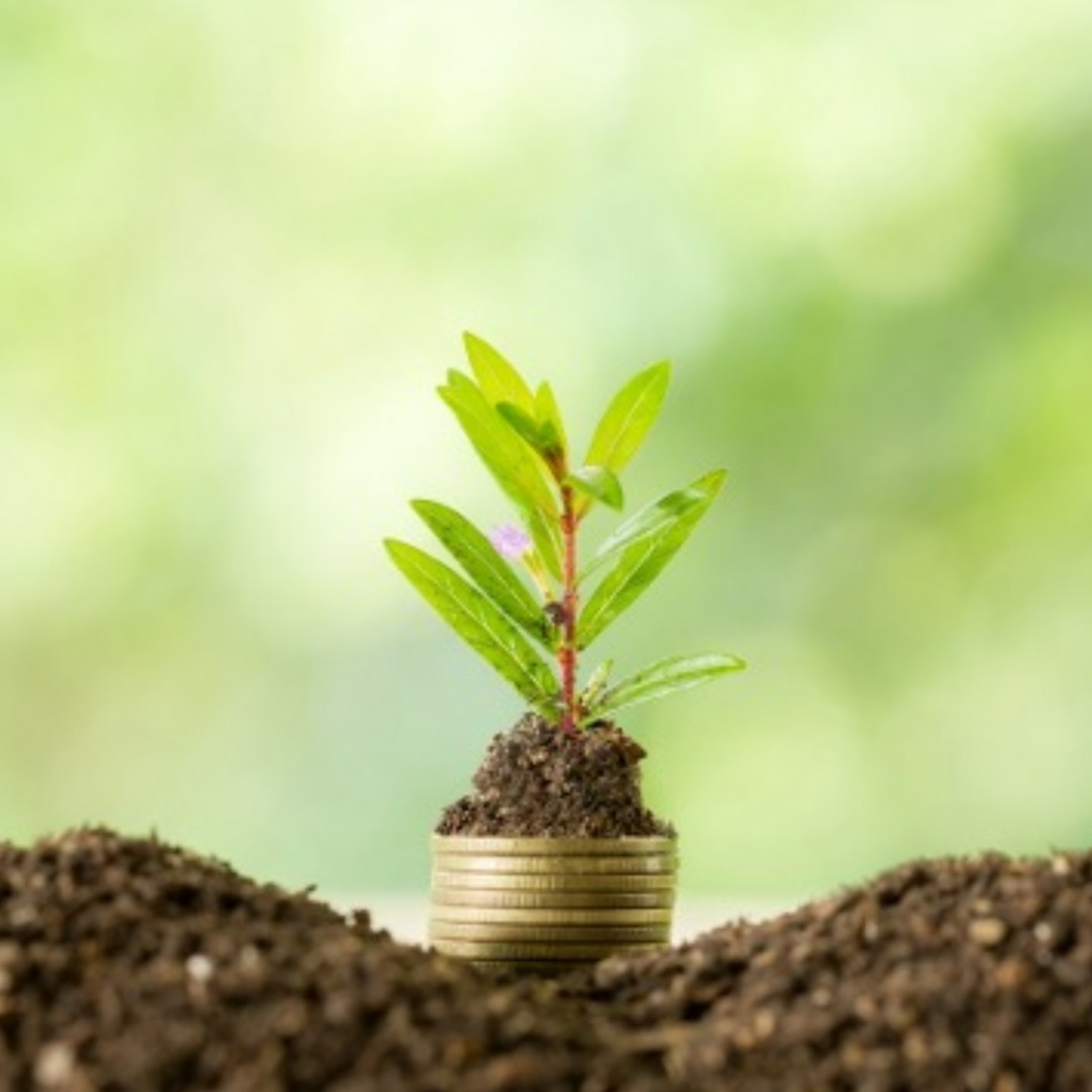 突破心態、成就非凡的三大突破哲學 [Thian Lung Jong]